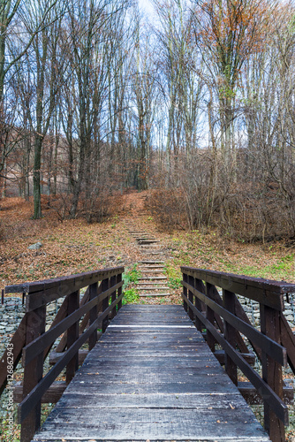 Plakat na zamówienie scene with wooden stairs in autumn forest