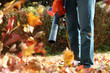 Man working with  leaf blower: the leaves are being swirled up a