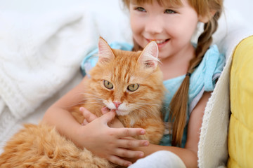 Wall Mural - Cute little girl and red cat on sofa, closeup