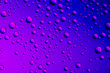 canvas print picture - Nice blue purple color background from drops of the different size