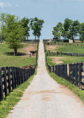 Wall Mural - Gravel Path Over the Hill