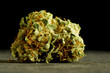 Marijuana bud close up