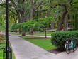 shady college campus with ivy covered building and student cyclist