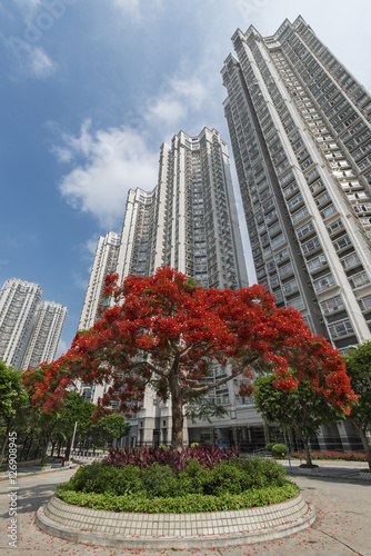 High rise residential building in Hong Kong city Poster