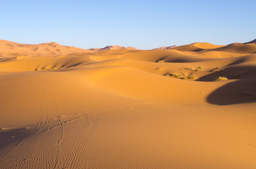 Wall Mural - Sahara desert in Morocco