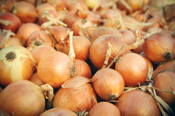 Sticker - Freshly harvested onions