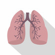 Lungs icon. Flat illustration of lungs vector icon for web