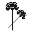 Carnation icon. Simple illustration of carnation vector icon for web