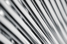 Silver Stripes Abstract