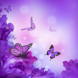 Fototapeta  - Amazing butterfly fairy of flowers, hydrangeas and iris.