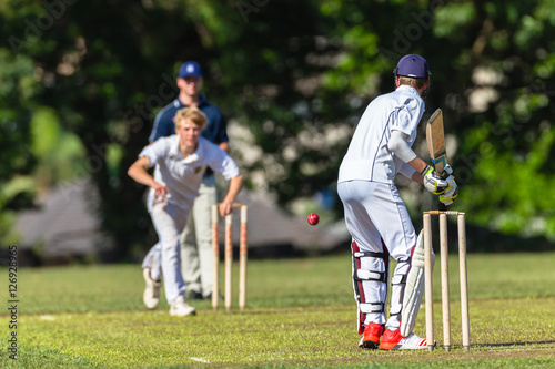 Cuadros en Lienzo Cricket Batsman Bowler Game Action