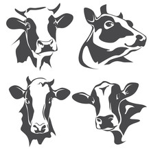 Cow Head Portrait, Set Of Stylized Vector Symbols