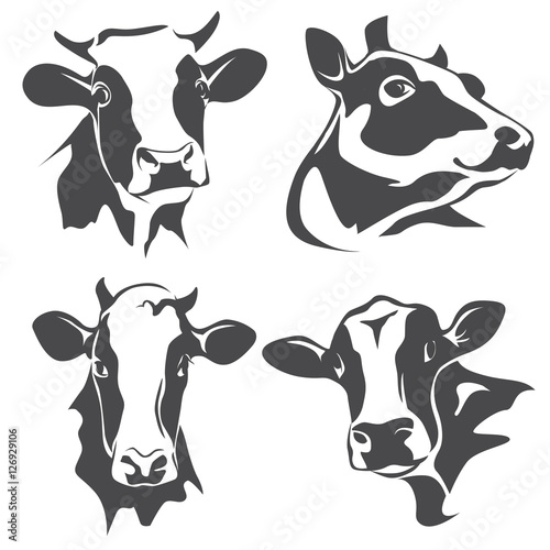 Fotografie, Obraz cow head portrait, set of stylized vector symbols