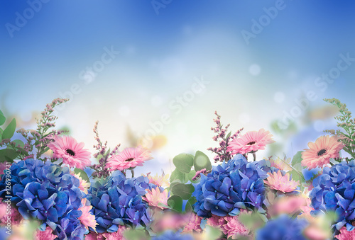 Amazing background with hydrangeas and daisies Принти на полотні