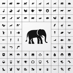 Wall Mural - elephant icon illustration