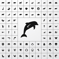 Poster - dolphin icon illustration