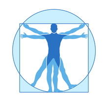 Human Body Vector Icon Of Vitruvian Man