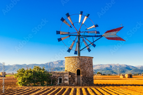 Cuadros en Lienzo Traditionelle Windmühle auf Mallorca