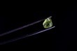 Crude gem quality peridot from Lanzarote, Canary Islands
