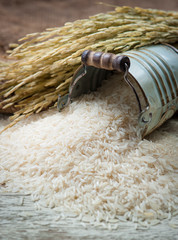 Sticker - white rice and paddy pile on wood background,Selective focus