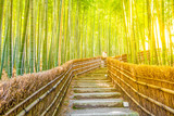 Fototapeta Dziecięca - Bamboo Forest at Arashiyama, Kyoto, Japan