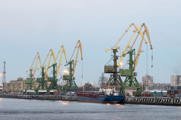 Tower cranes at the port.