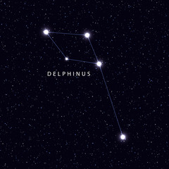 Wall Mural - sky map with the name of the stars and constellations. astronomical symbol constellation delphinus