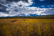 Beautiful Idaho Landscape Sawtooth Range