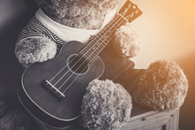 Teddy Bear Playing Guitar