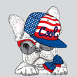 French Bulldog in glasses and a cap. Vector illustration for a card or poster. Print on clothes. Cute puppy.