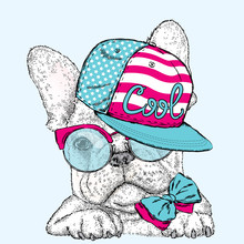 French Bulldog In Glasses And A Cap. Vector Illustration For A Card Or Poster. Print On Clothes. Cute Puppy.