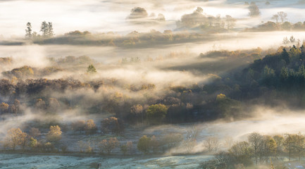 Wall Mural - lingering morning mist over woodland forest in the lake district.