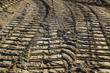 Tractor tracks in soil at housing construction site.
