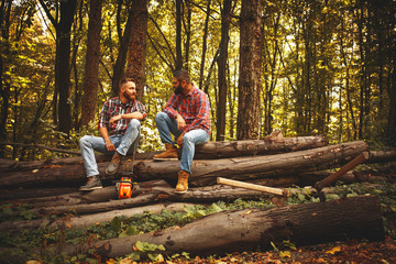 Wall Mural - Two friends Lumberjack worker sitting in the forest .Resting after hard work.