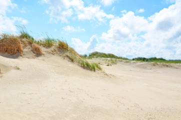 Wall Mural - Dünenlandschaft