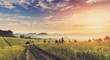 Fantastic foggy sunny day. ground road in the rural field with fresh grass in the sunlight. majestic misty sunrise with colorful clouds on the sky, retro style. 