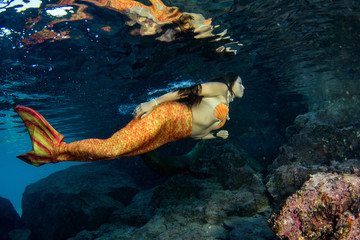 Mermaid swimming underwater in the deep blue sea with a seal