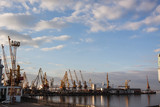 Fototapeta Miasto - industrial landscape with sea port,cranes and ships