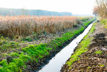 Drainage Ditch In Autumn Scenery