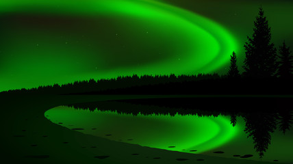 Green northern lights above coniferous forest and lake. Website template.