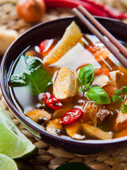 Wall Mural - spicy asian broth soup with tofu