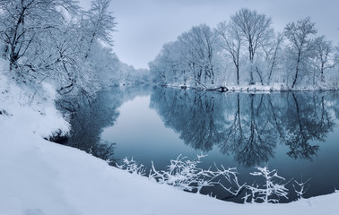 Wall Mural - winter forest on the river at sunset. colorful landscape with snowy trees, beautiful frozen river wi