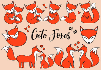 Wall Mural - Cute foxes, vector set