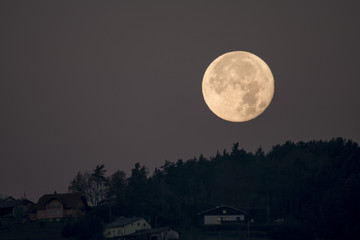 Wall Mural - Setting full moon behind hill, forest and houses seen on hill