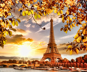  Wieża Eiffla z jesiennych liści w Paryżu, Francja