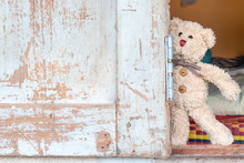 Teddy Bear Behind Window
