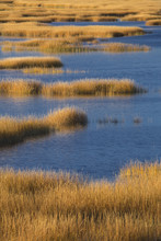 Warm Glow Of Sunset On Marsh At Milford Point, Connecticut.