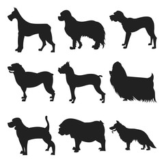 Wall Mural - Set of dogs black silhouette