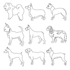 Wall Mural - Set of purebred dogs in linear style