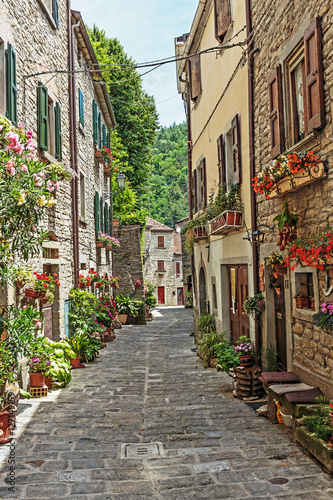 Obraz w ramie Narrow old street with flowers in Italy